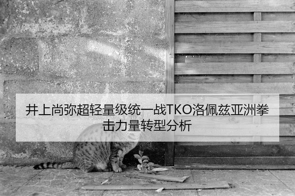井上尚弥超轻量级统一战TKO洛佩兹亚洲拳击力量转型分析